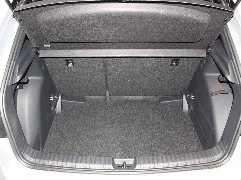 SKODA Fabia 1.0 TSI Monte Carlo LED/SHZ/APP/CAM